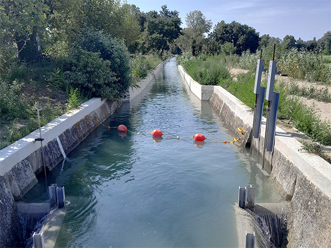 CPA029 2023 01 WEB 375x500